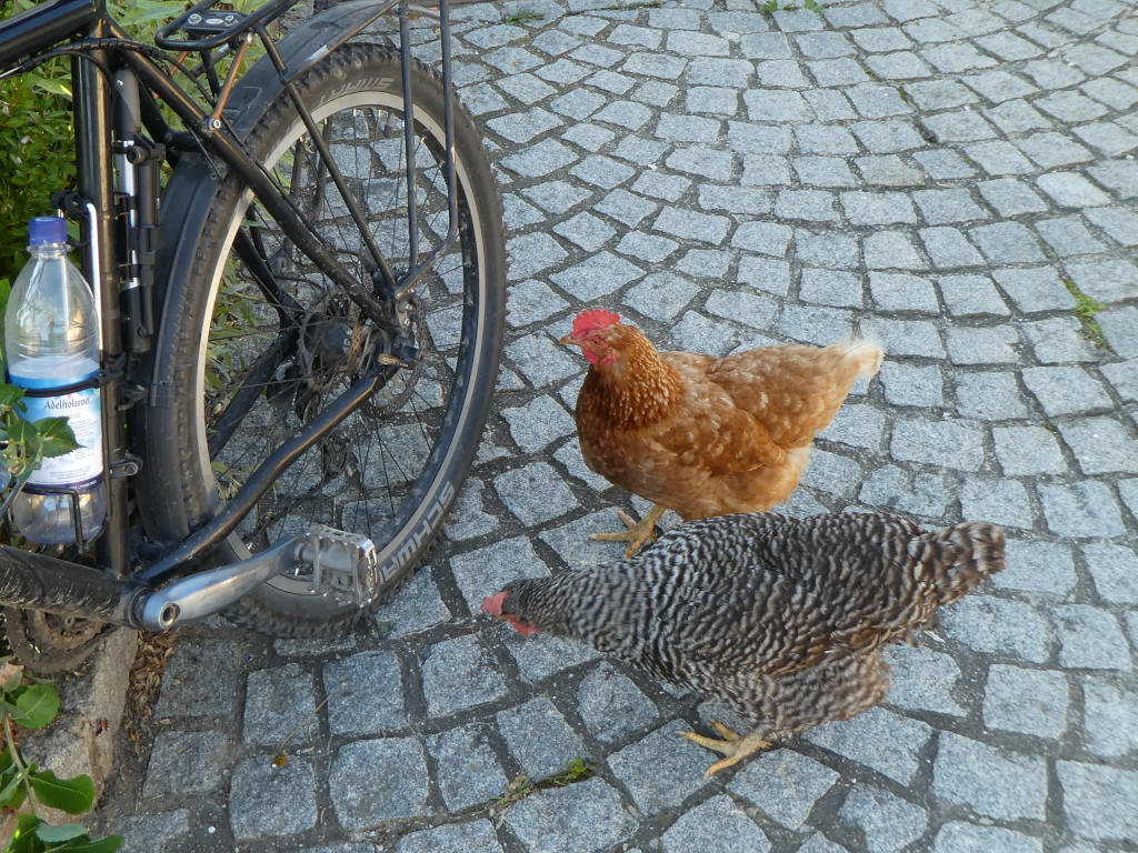 [ von dps.informatik.uni-leipzig.de]